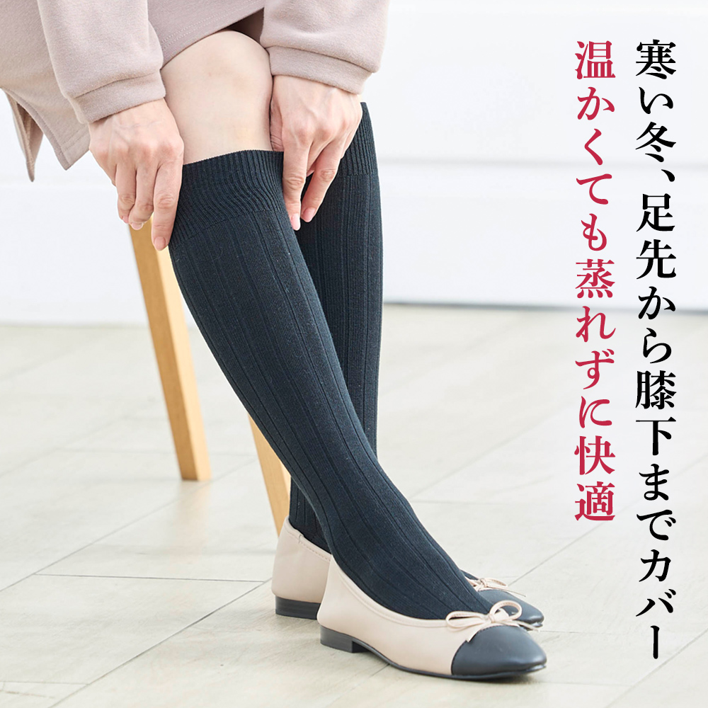 BSロングホーズソックス