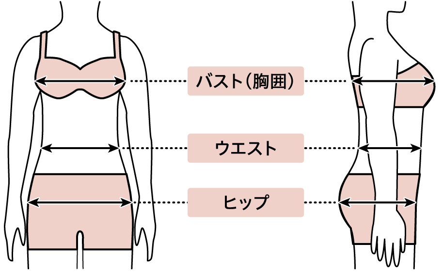 バスト(胸囲) ウエスト ヒップ