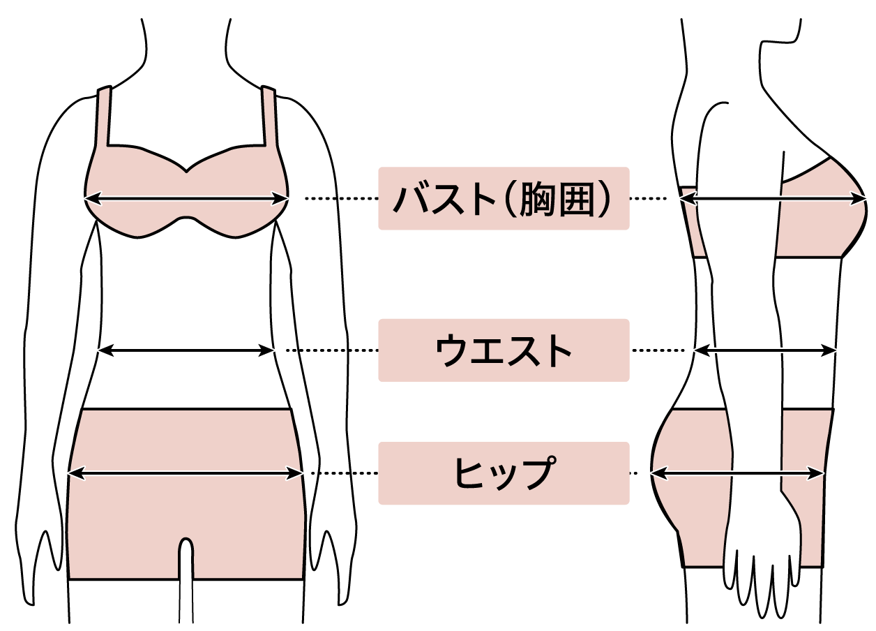 バスト(胸囲) ウエスト ヒップ