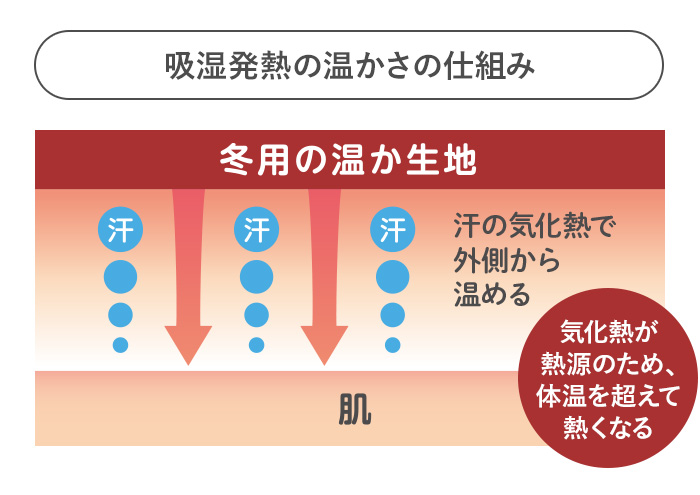 吸湿発熱の温かさの仕組み