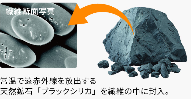 繊維断面写真