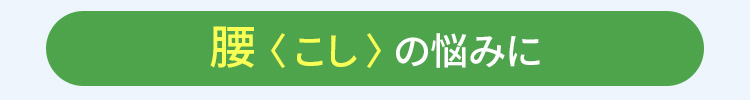 腰のお悩みに
