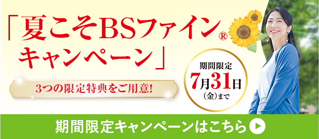 2026春夏新商品