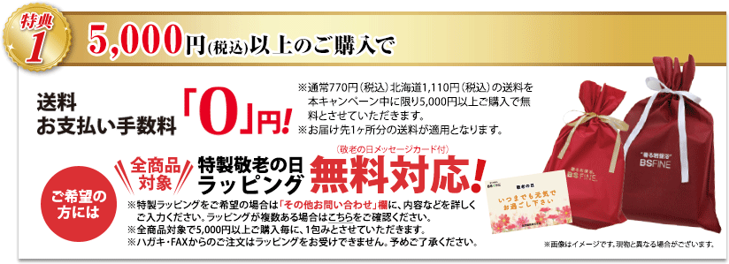 特典1 5,000円以上ご購入で、送料無料! はがき・FAX・WEB注文の場合 手数料無料