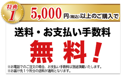 特典1 5,000円以上のご購入でお支払手数料・送料無料