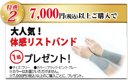 特典2 7,000円(税込)以上のご購入でBSファイン特製リストバンドプレゼント！