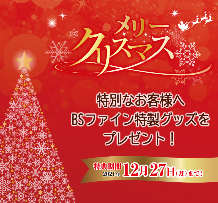 今年の冬は悩まない クリスマス BSファイン特製グッズをプレゼント！