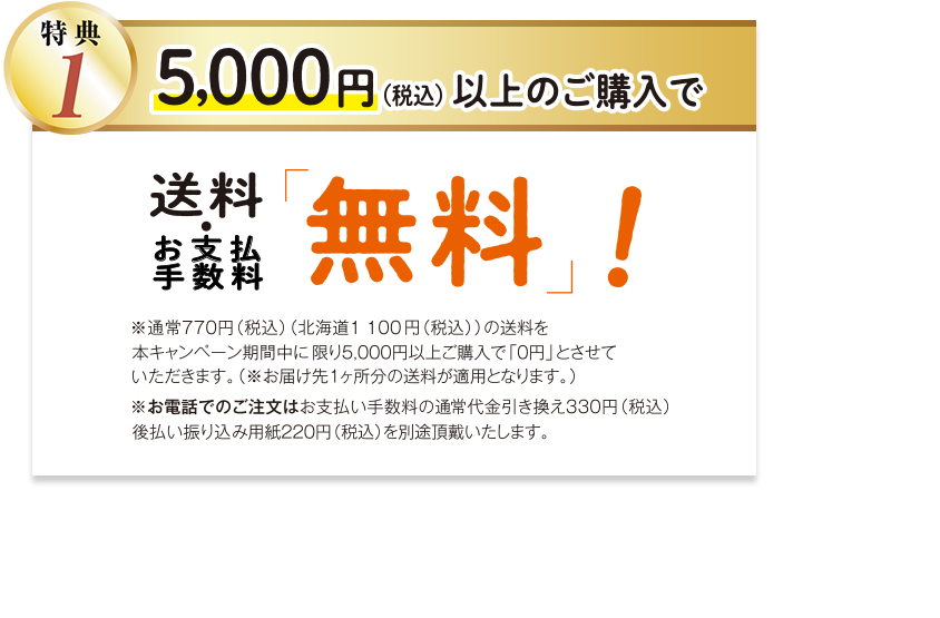 特典1 5,000円以上ご購入で、送料無料! はがき・FAX・WEB注文の場合 手数料無料