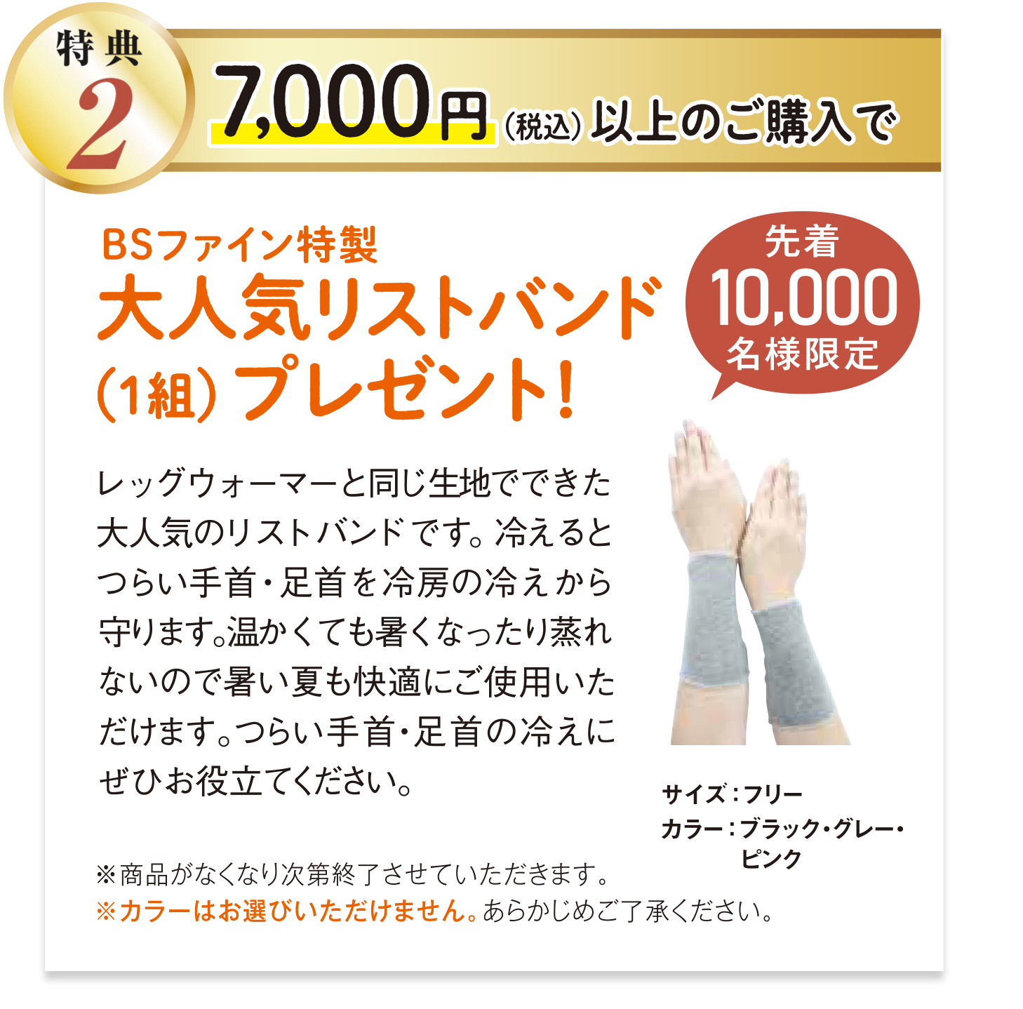 特典2 7,000円以上ご購入で、BSファイン特製 大人気リストバンド（1組） プレゼント! 先着5000名様限定