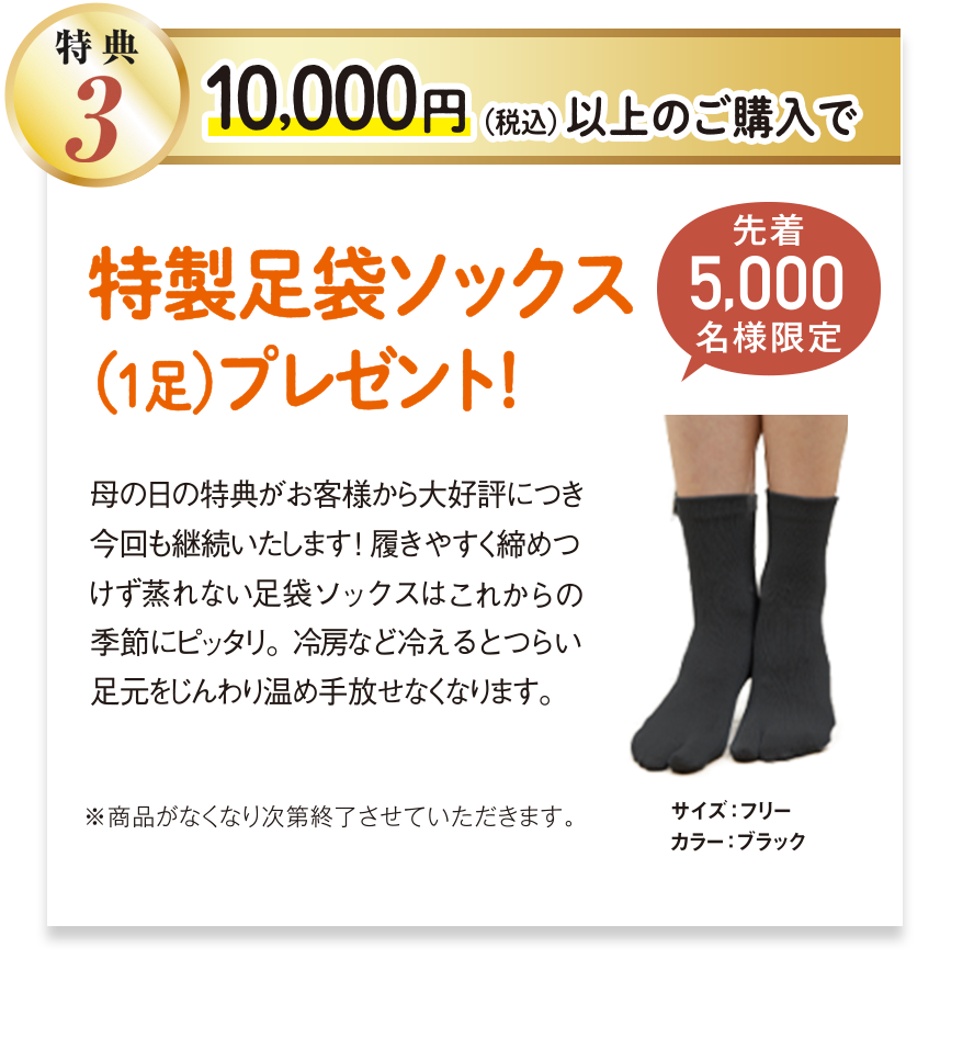 特典3 10,000円以上ご購入で、BSファイン特製足袋ソックス(1足)プレゼント! 先着5000名様限定