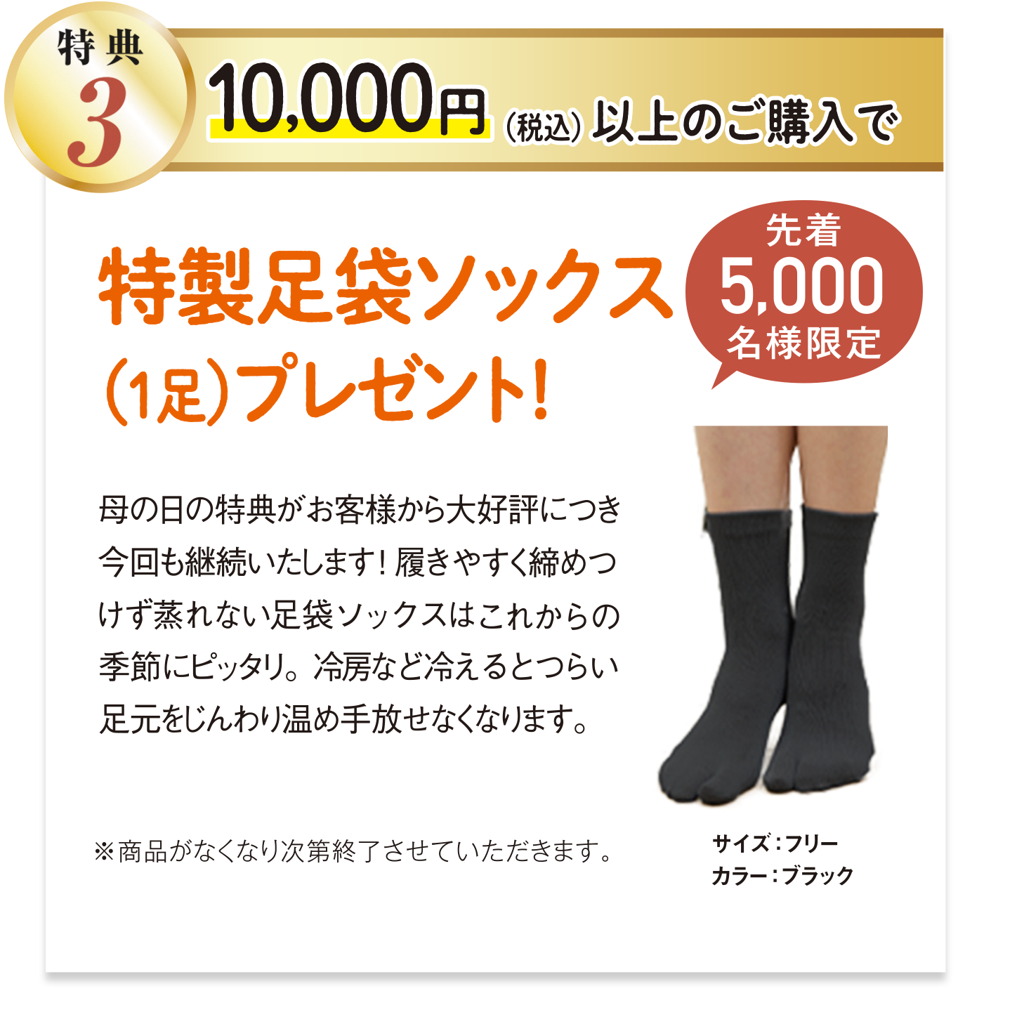 特典3 10,000円以上ご購入で、BSファイン特製足袋ソックス（1足）プレゼント!  先着5000名様限定