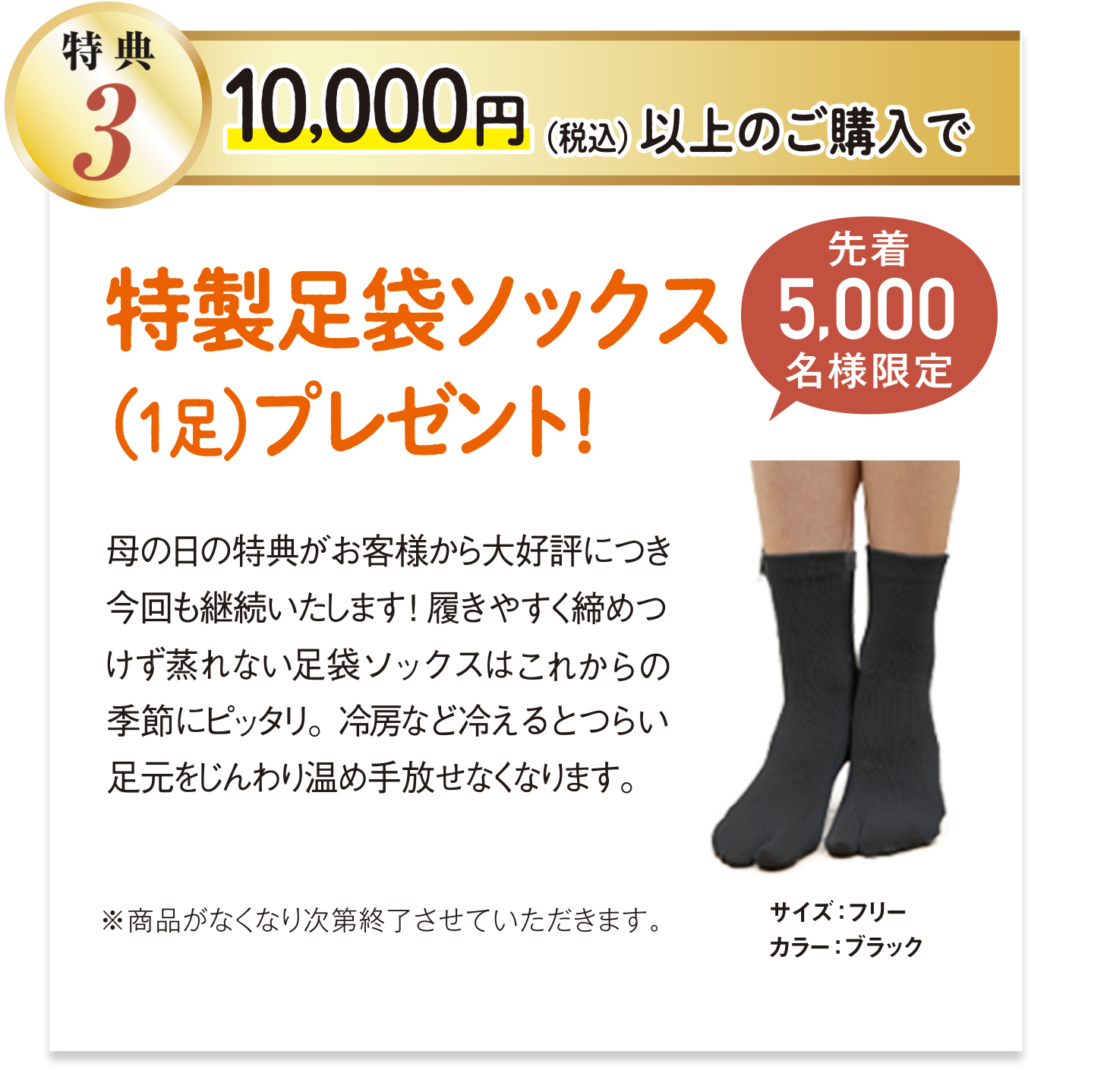 特典3 10,000円以上ご購入で、BSファイン特製足袋ソックス(1足)プレゼント! 先着5000名様限定