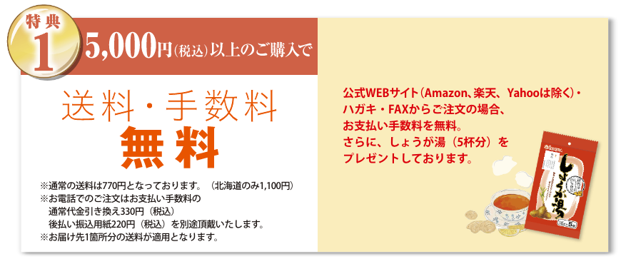 特典1 5,000円（税込）以上のご購入で送料無料