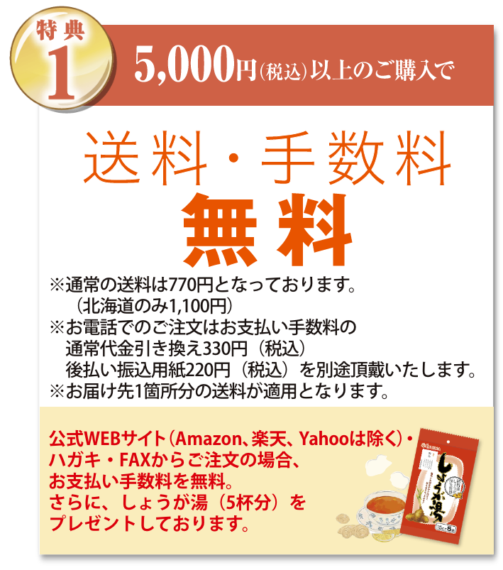 特典1 5,000円以上のご購入でお支払手数料・送料無料！