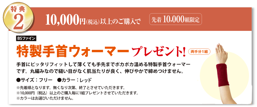 特典2 10,000円（税込）以上のご購入でプレゼント!