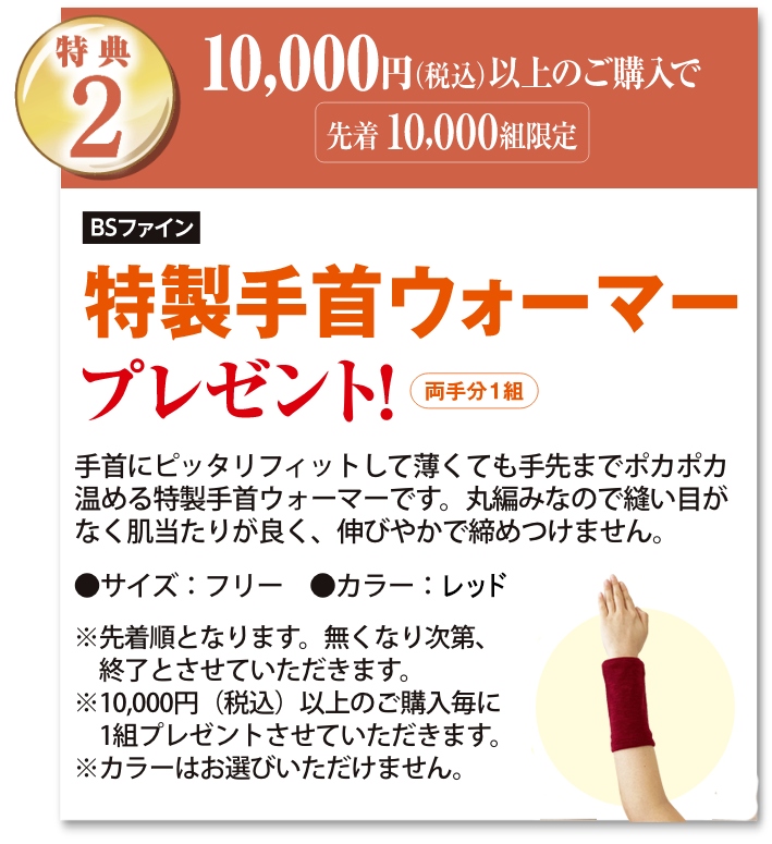 特典2 10,000円以上のご購入でプレゼント！