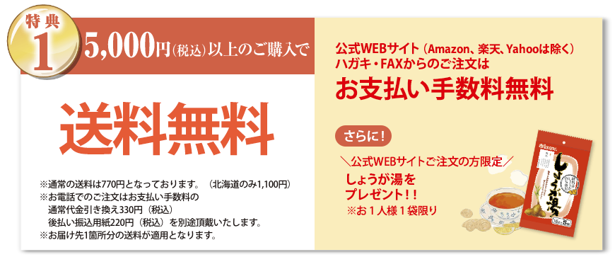 特典1 5,000円（税込）以上のご購入で送料無料