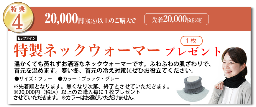 特典4 20,000円（税込）以上のご購入でプレゼント!