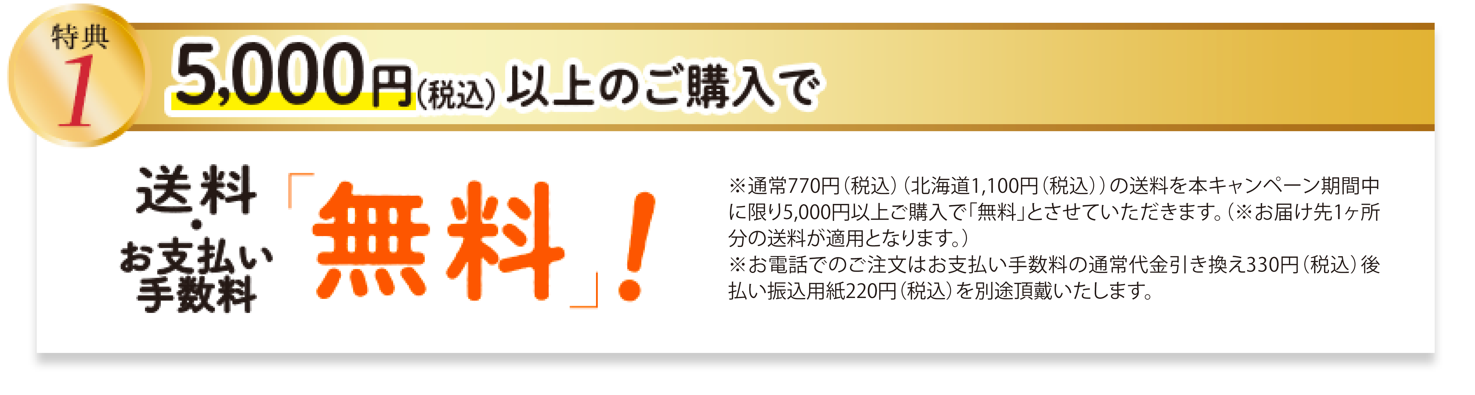 特典1 5,000円以上ご購入で、送料無料! はがき・FAX・WEB注文の場合 手数料無料