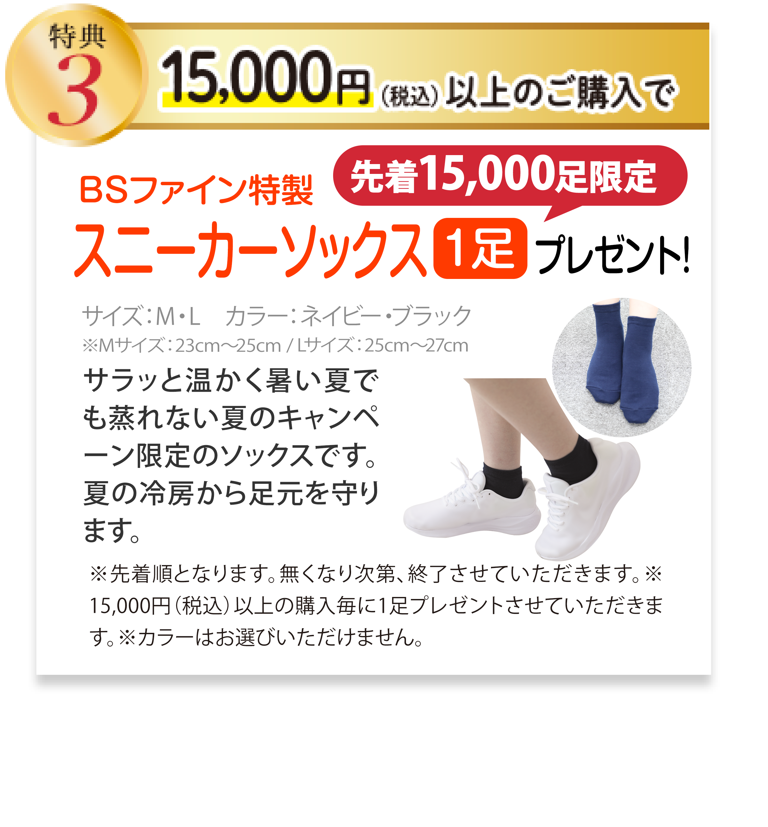 特典3 15,000円以上ご購入で、BSファイン特製 スニーカーソックス(1足) プレゼント! 先着15000足限定