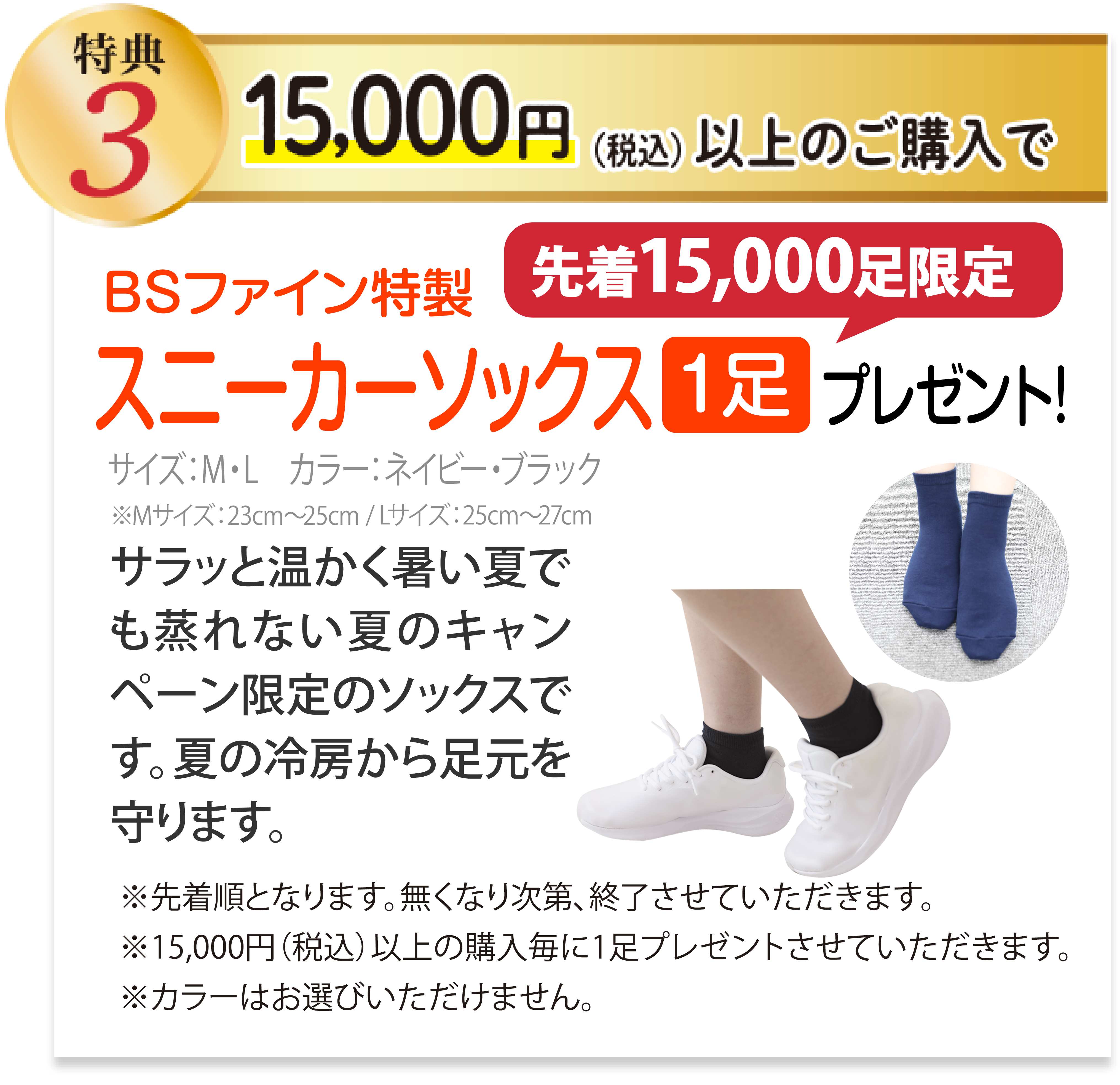 特典3 15,000円以上ご購入で、BSファイン特製 スニーカーソックス(1足) プレゼント! 先着15000足限定