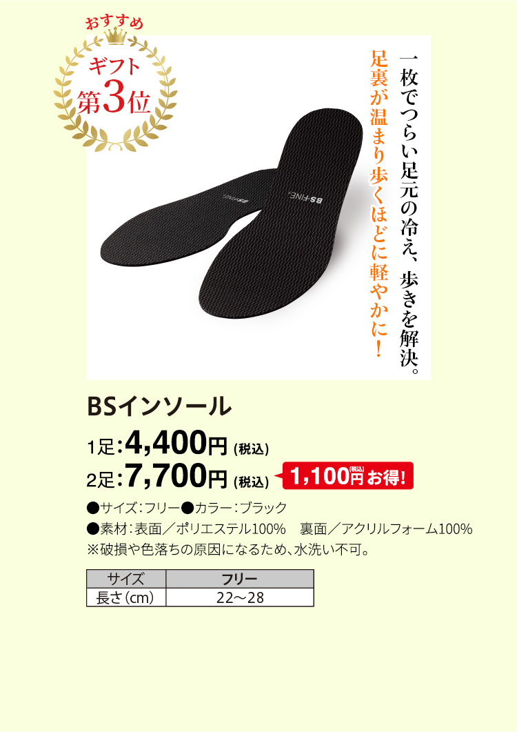 BSインソール 1足：4,400円（税込）