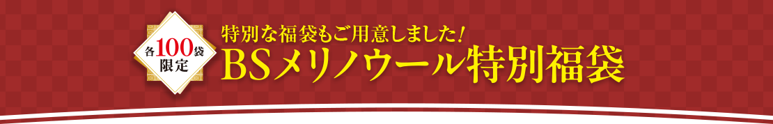 各100袋限定｜特別な福袋もご用意しました！BSメリノウール特別福袋