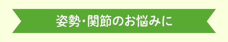 姿勢・関節のお悩みに