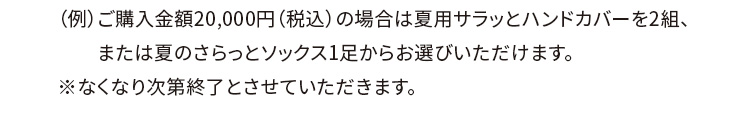 （例）ご購入金額20,000円（税込）の場合は夏用サラッとハンドカバーを2組、または夏のさらっとソックス1足からお選びいただけます。 ※なくなり次第終了とさせていただきます。