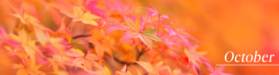 2025年10月のお声