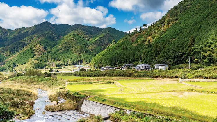 津山市本社