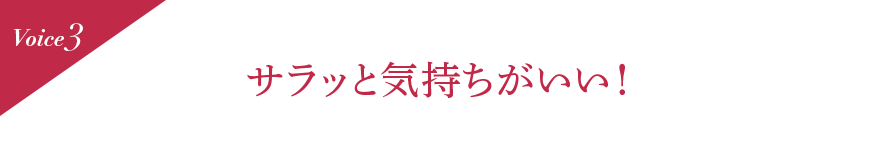 Voice3 サラッと気持ちがいい!