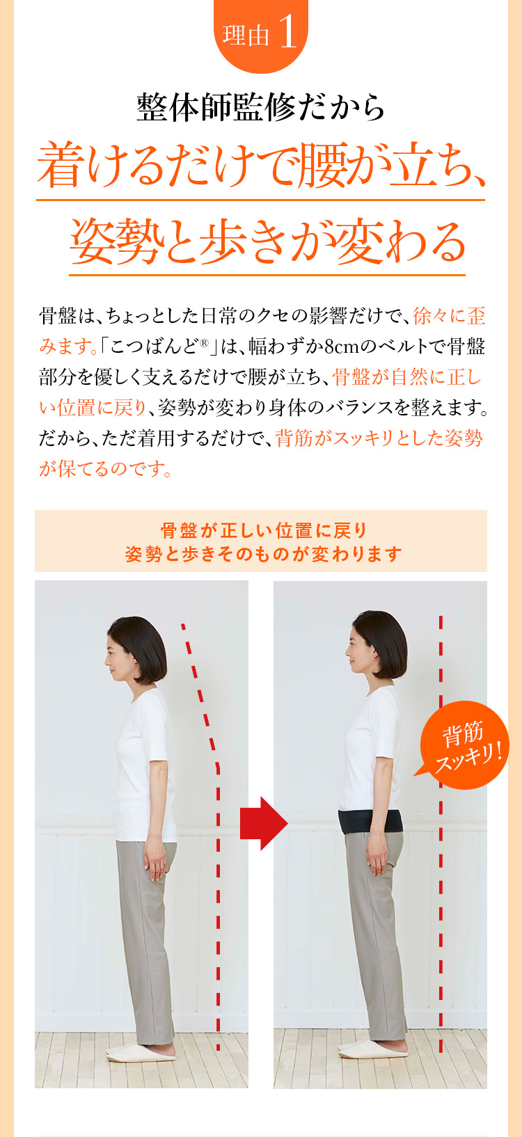 【美品】BSファイン　こつばんど　Mサイズ BSファイン] こつばんど 【公式】｜骨盤 腰 腰痛 サポーター