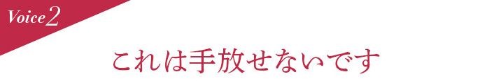 Voice2 これは手放せないです