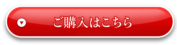 ご購入はこちら