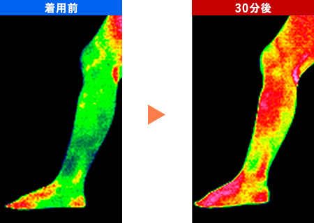 BSファインレッグウォーマー 着用前、30分後