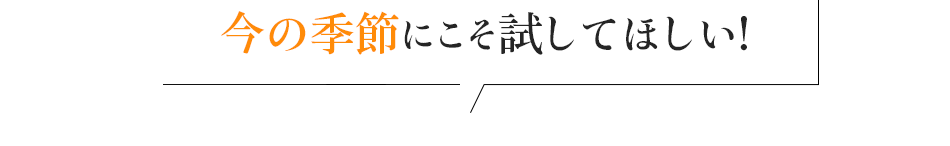 今の季節にこそ試してほしい!