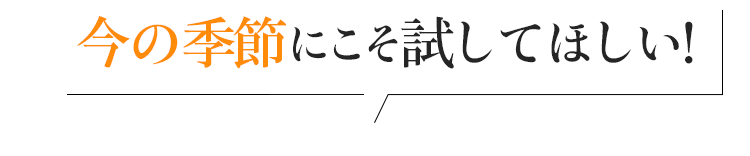 今の季節にこそ試してほしい!