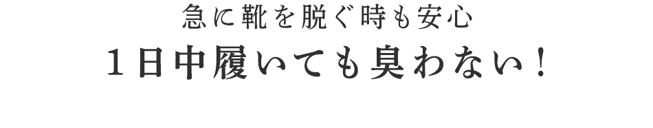 最高級コットンにBSファインの機能をプラス