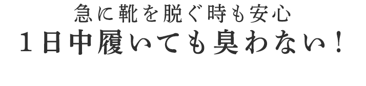 最高級コットンにBSファインの機能をプラス