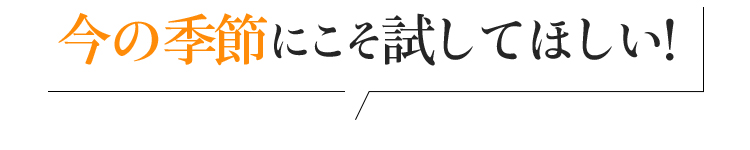 今の季節にこそ試してほしい!