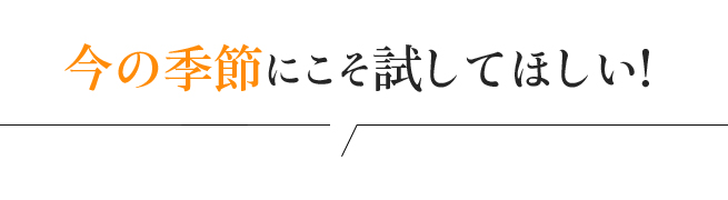 今の季節にこそ試してほしい!