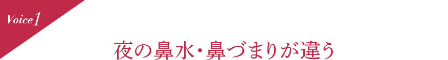 Voice1 夜の鼻水・鼻づまりが違う