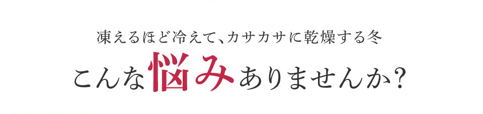 凍えるほど冷えて、カサカサに乾燥する冬 こんな悩みはありませんか?
