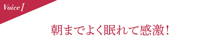 Voice1  朝までよく眠れて感激!