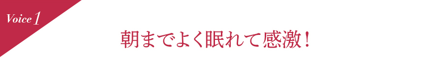 Voice1  朝までよく眠れて感激!