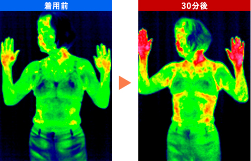 BSファインウェストウォーマー 着用前、30分後